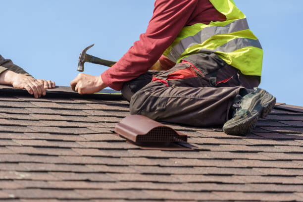 Best Shingle Roofing Installation  in Warsaw, VA