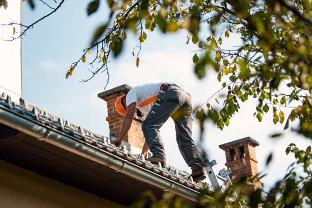 Best Tile Roofing Contractor  in Warsaw, VA