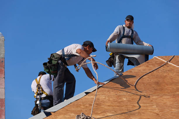 Best Shingle Roofing Installation  in Warsaw, VA