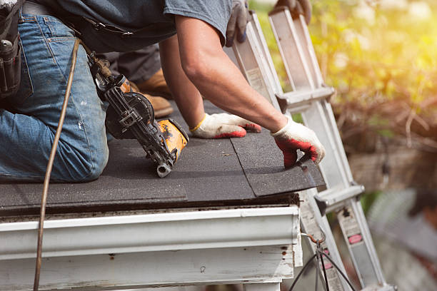 Best Roof Gutter Cleaning  in Warsaw, VA