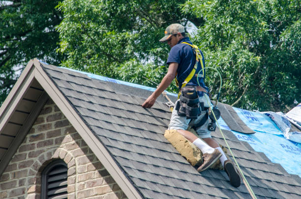 Best Roof Waterproofing Services  in Warsaw, VA